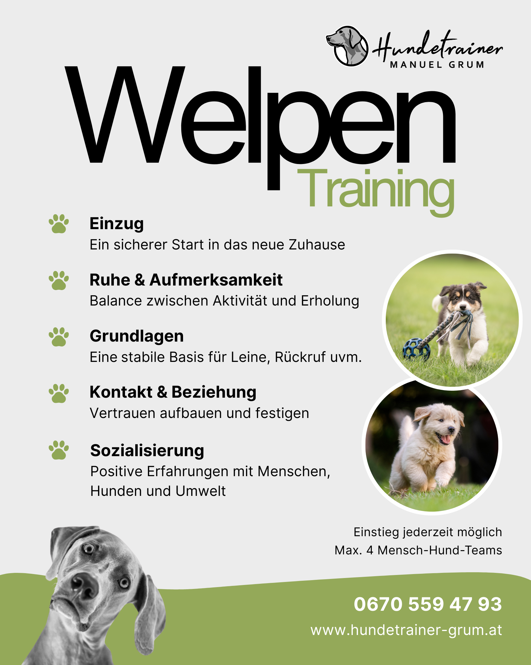 Welpen